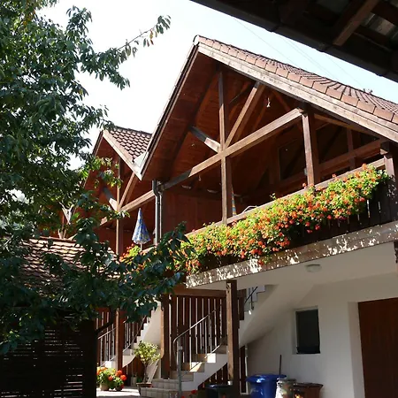 Gabi Hermann Bodman-Ludwigshafen